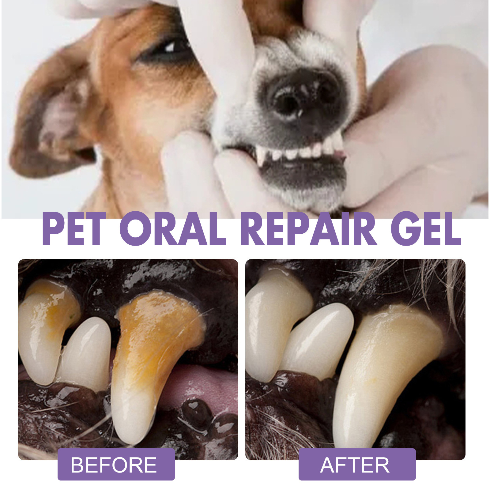 Pet Oral Repair Gel Puppy Tart - đánh giá và giá Teeth Whitening Groupon